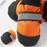 Botas para mascotas