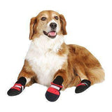 Botas para mascotas