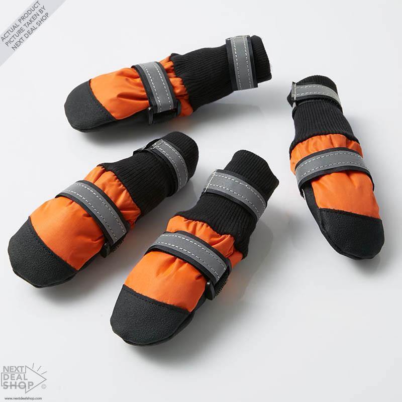Botas para mascotas